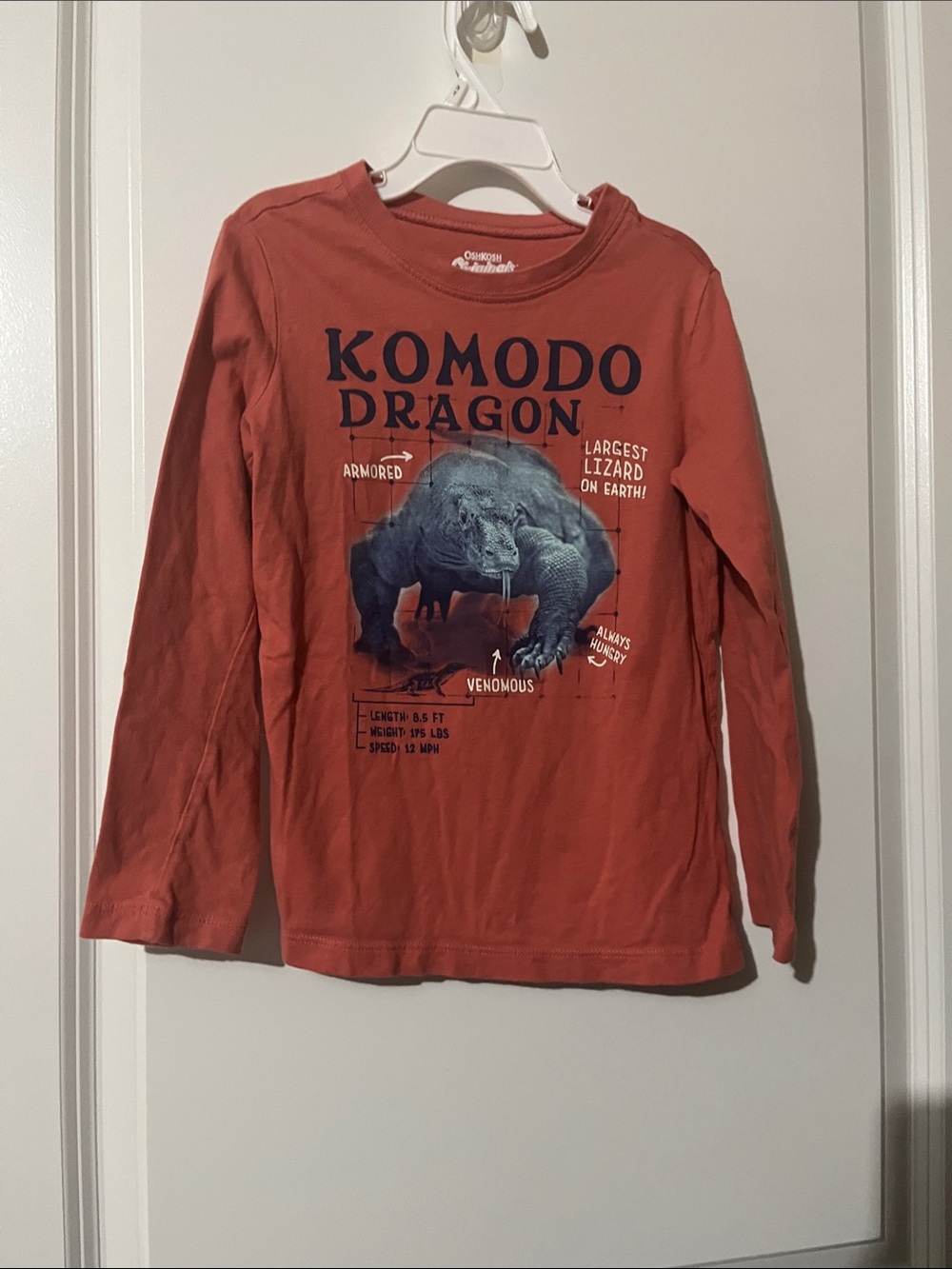 OshKosh B'gosh Boys Komodo Dragon Graphic Long Sleeve Tee - Rust Orange